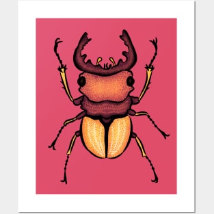 Stag Beetle Insect Art Posters and Art